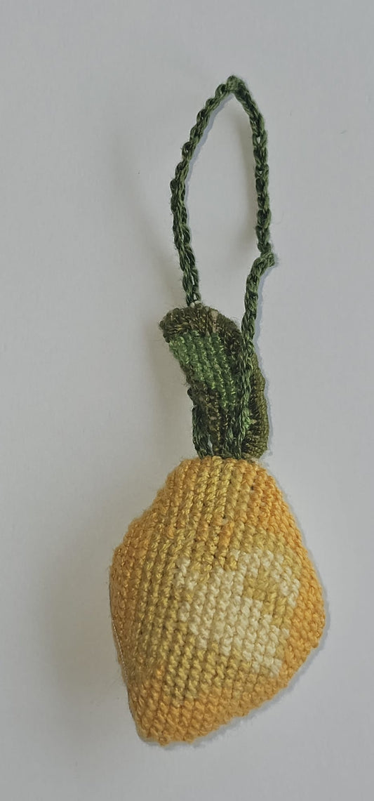 Lamoona Hanging Cushion